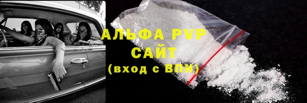 трава Корсаков