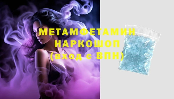 трава Корсаков