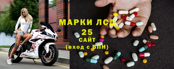 трава Корсаков