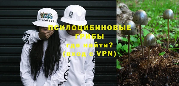 трава Корсаков