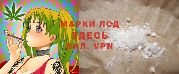 трава Корсаков
