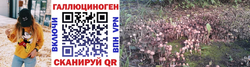 Галлюциногенные грибы мухоморы  Купить  Куртамыш 